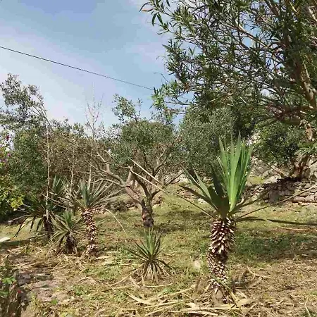 By The Sea Hvar - 15401