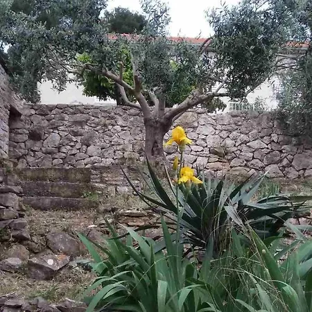 By The Sea Hvar - 15401 * フヴァル