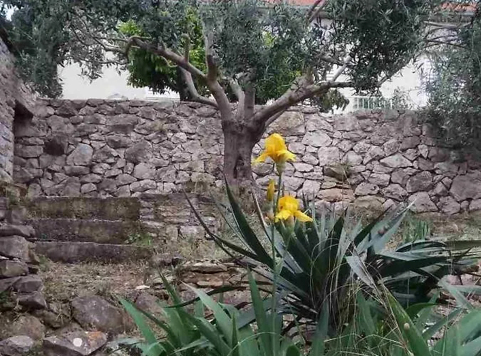 By The Sea Hvar - 15401 * Hvar Town