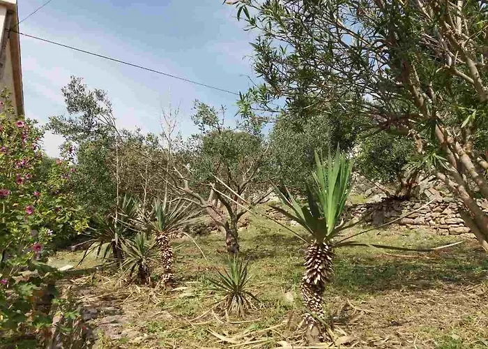 By The Sea Hvar - 15401